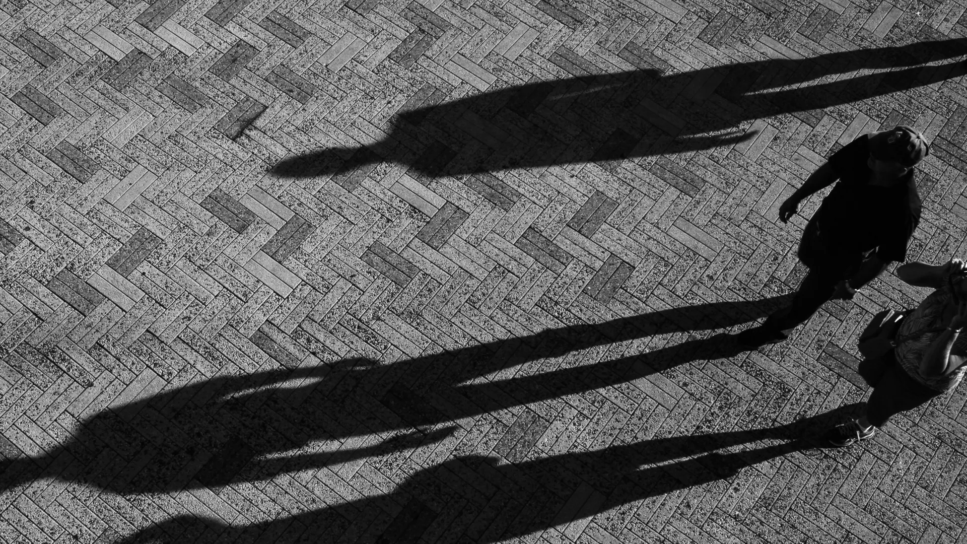 The market at a glance: Black or white