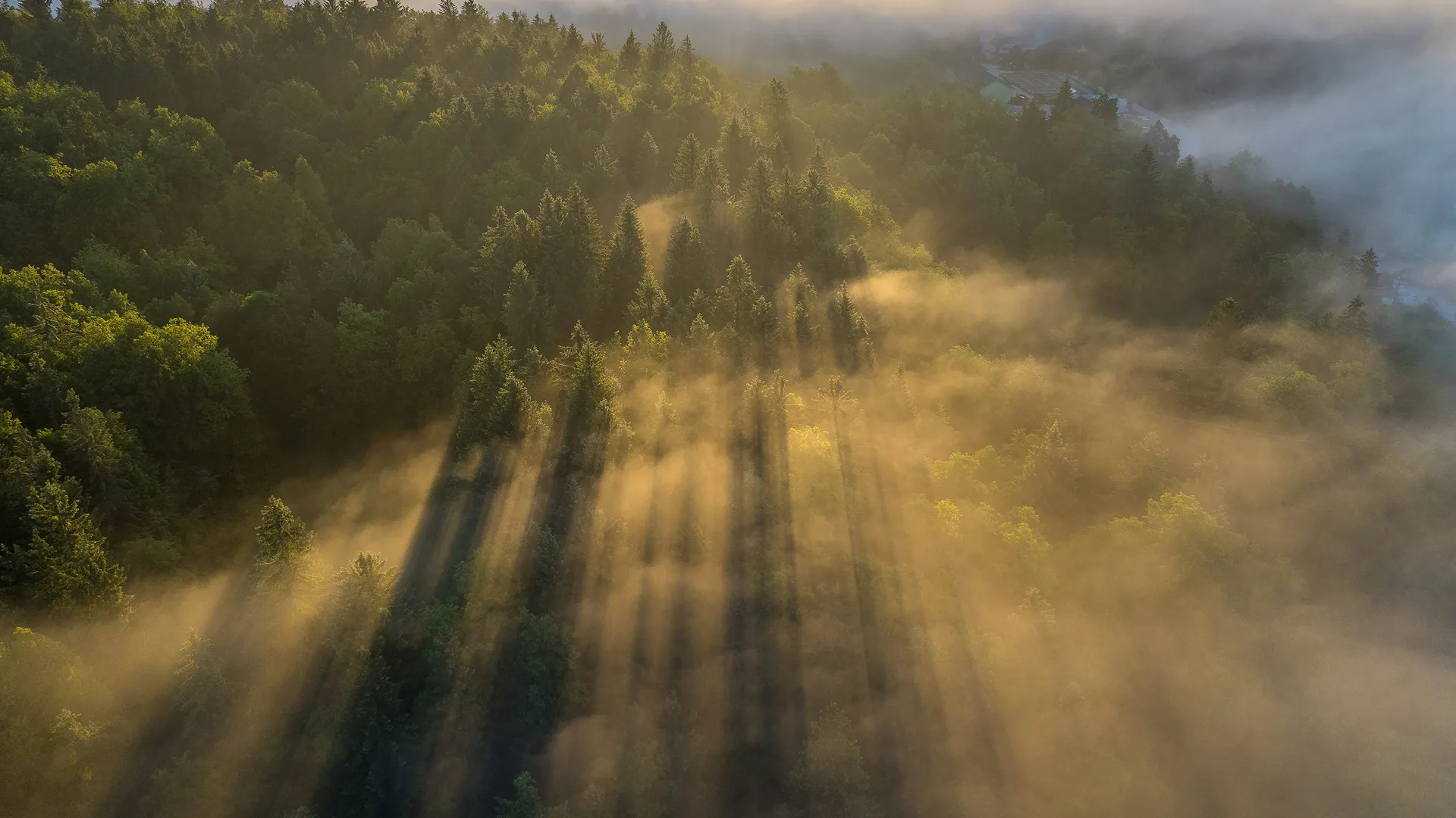 The market at a glance: Quicker than a ray of light